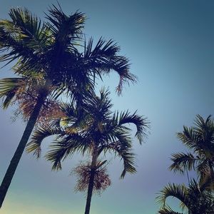 Meet your Posher, Aj